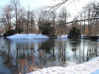Neuer Teich im großen Garten in Dresden im Winter
