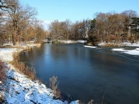 Neuer Teich im großen Garten in Dresden im Winter